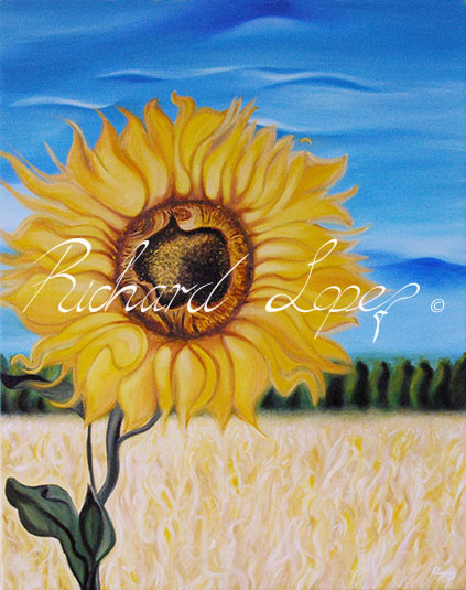 Sunflower - Flowers