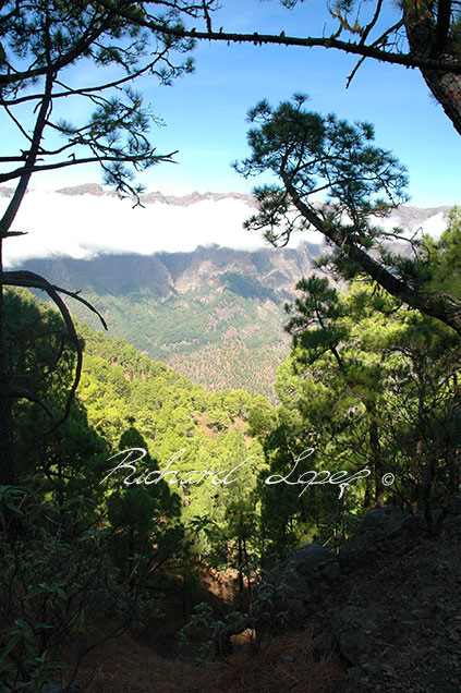 Mountain View - Landscape photography