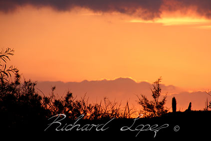 Sunset in Malta - Landscape photography